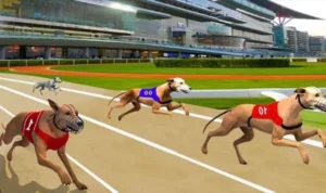 Cách Chơi Game Nhanh Đua Chó Tại U888 Thắng Chắc 5 Đua Chó Tại U888