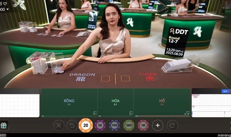 Các cửa cược trong Dragon Tiger U888